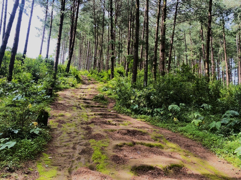 फुटट्रेल निर्माण अघिको बाटो ।