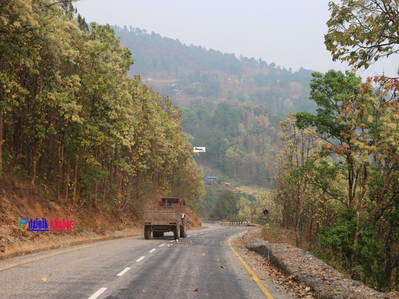 सालको फूलसँग एकैछिन झुमिदा