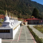 २९ गते उद्घाटन हुदै विगु गुम्बा
