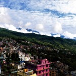 चेम्बरको आयोजनामा दोलखा महोत्सव