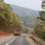 सालको फूलसँग एकैछिन झुमिदा