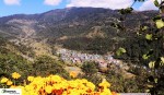 चैत्र २३ गतेदेखि जिरी महोत्सव