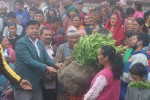 पवटीबासीलाई गाउँपालिकाद्धारा सुन्तलाको विरुवा वितरण