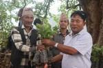 वातावरण दिवसमा झ्याँकुमा कफीको विरुवा वितरण