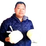 चौरीको घ्यूप्रति आकर्षण बढ्दै 