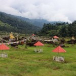 रोजाईको गन्तव्य बन्दैः स्टोनपार्क 