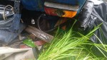 ट्याक्टर दुर्घटना हुँदा आलम्पूका एक जनाको मृत्यु, ३ घाईते