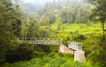 सल्लेफेदीको ट्रष्ट पुलबाट दैनिक २५ बढीको आवतजावत