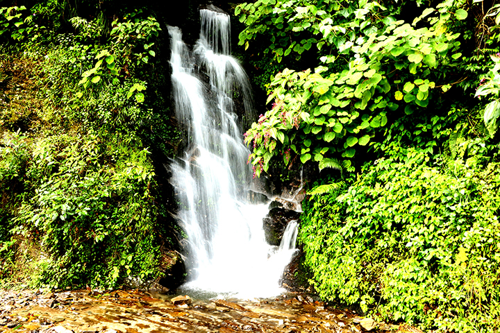 आज विश्व पर्यटन दिवसः दोलखामा विविध कार्यक्रम 