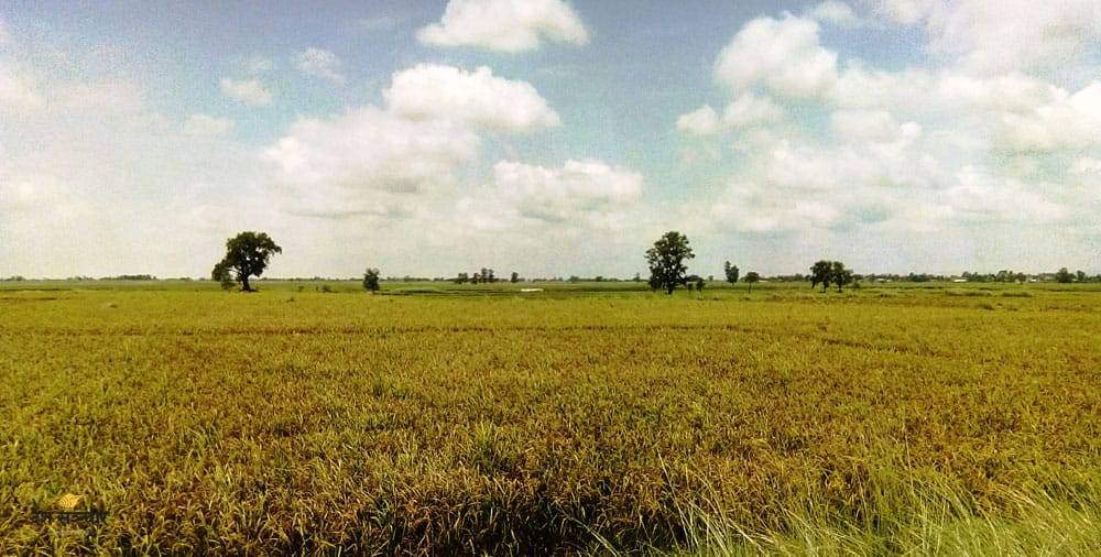 दोलखामा बाली बीमा शुन्य