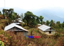 पानी खोज्दै टोलनै सहरतिर