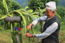 गन्तव्य बन्दै नाम्दुको ड्रागन फर्म