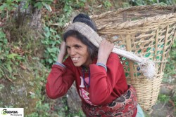 पुर्खौली धाराको शुद्ध पानीमा डाँडागाउँको भर
