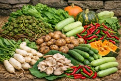 गाडीमै तरकारी पठाएर शान्ति तामाङको लाखौँ आम्दानी