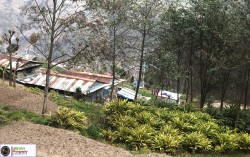 अलैची बेचेरै ठाडीमा वार्षिक १६ लाख भित्रिन्छ