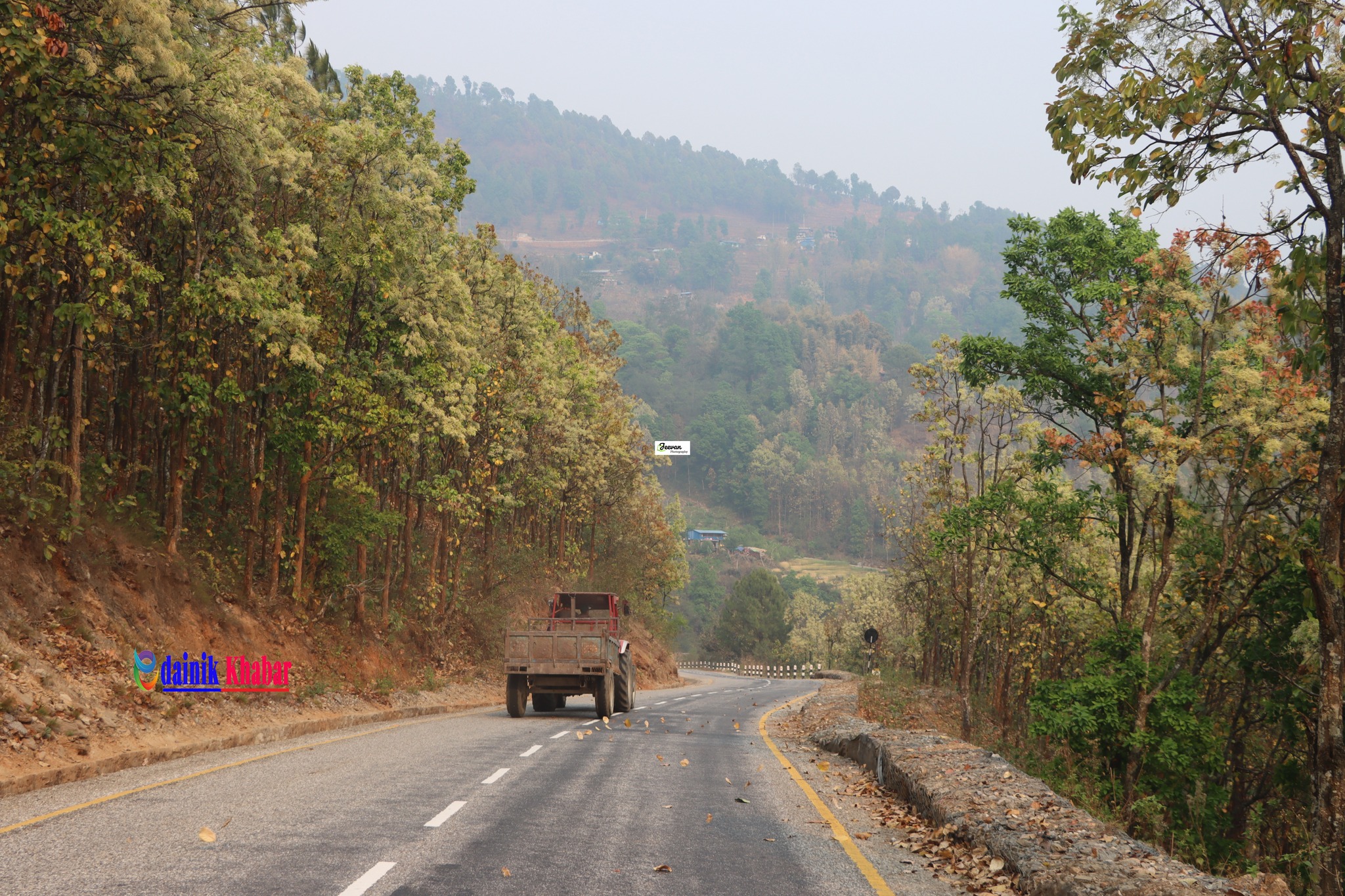 सालको फूलसँग एकैछिन झुमिदा