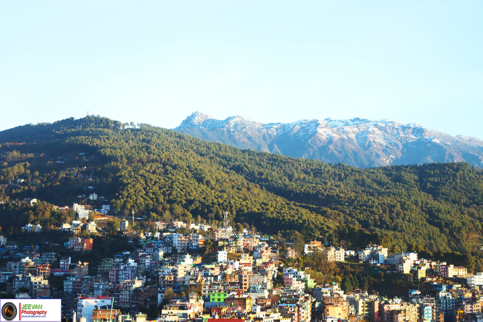 खोरथली सामुदायिक वनको कमालः एक वर्षमै करोडभन्दा बढी आम्दानी