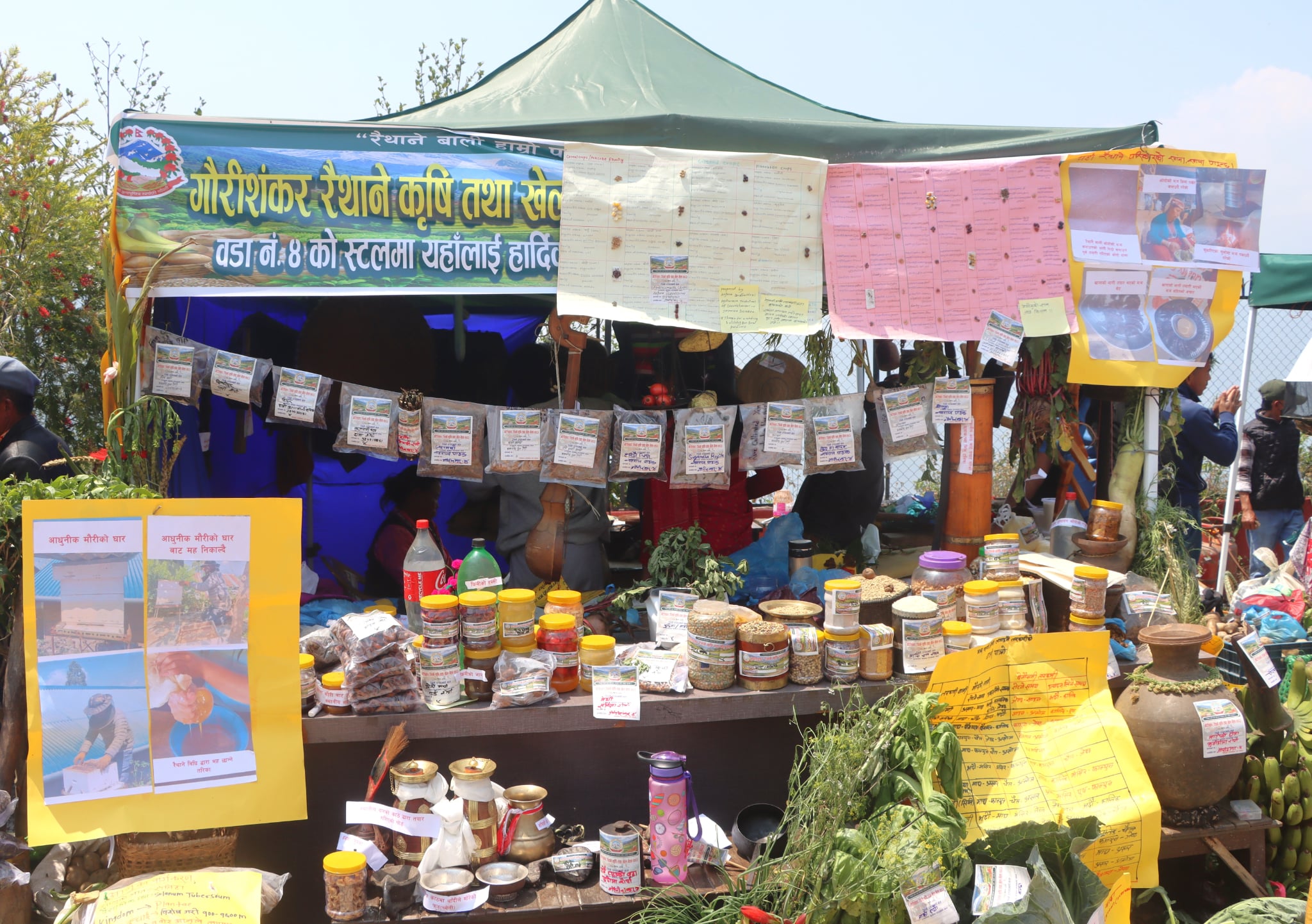 गौरीशंकर गाउँपालिकामा रैथाने बाली संरक्षणका लागि ३ दिने मेला सुरु