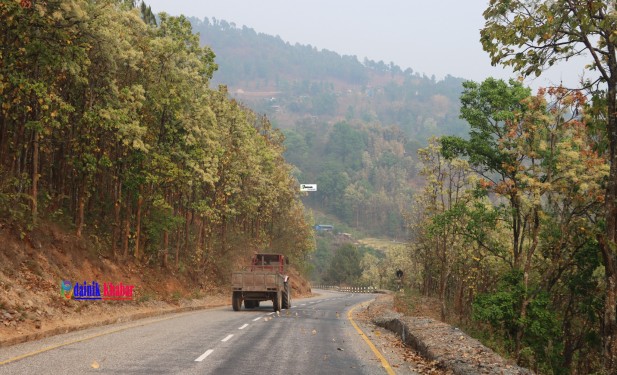 सालको फूलसँग एकैछिन झुमिदा