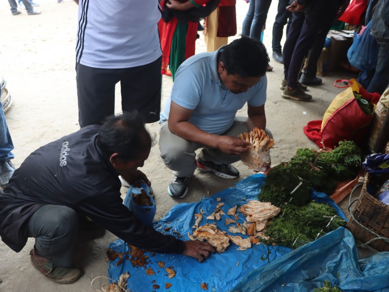 प्रत्येक १५ गते सुरीमा हाट बजार
