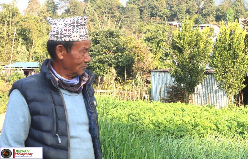 लसुनले बदलेको जीवनः धन बहादुर तामाङका छोराहरू जापान र पोर्चुगलसम्म