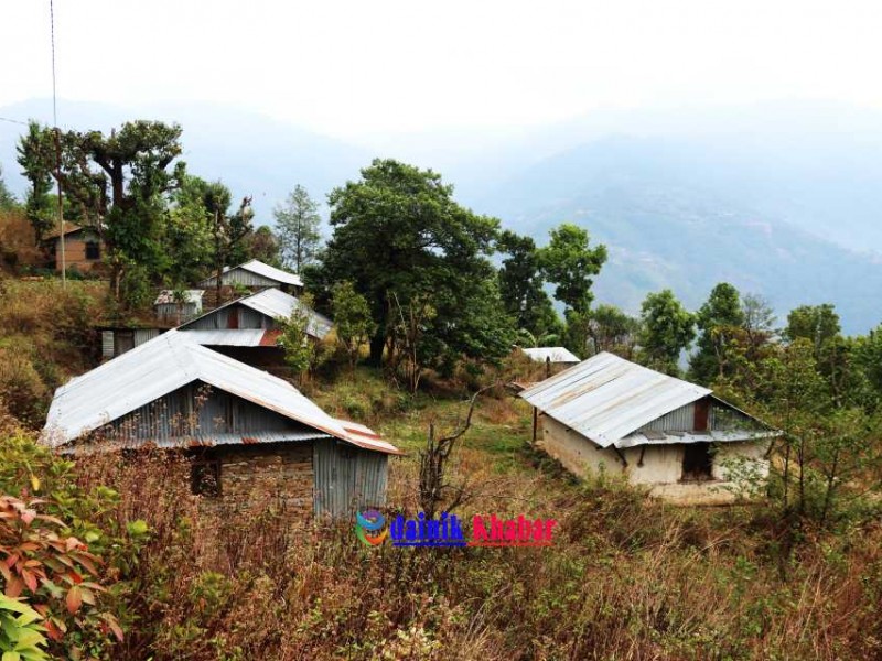 पानी खोज्दै टोलनै सहरतिर
