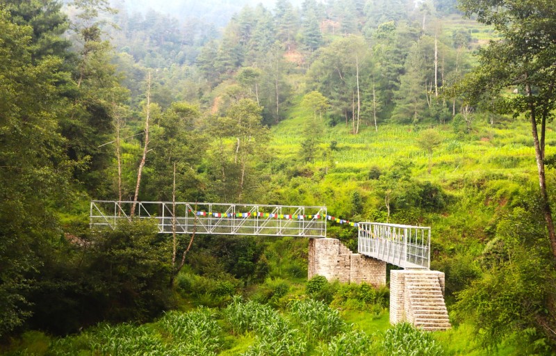 सल्लेफेदीको ट्रष्ट पुलबाट दैनिक २५ बढीको आवतजावत