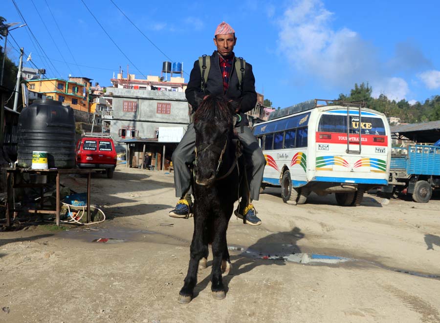 जो घोडा चढेरै घर घरमा दूध पुर्याउछन् 